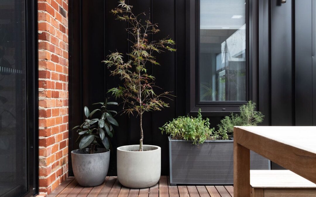 Plant House